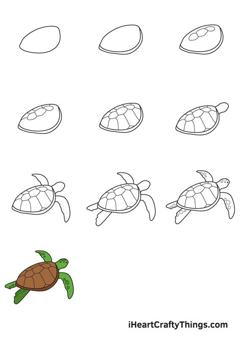 Sea Turtle Drawing — How To Draw A Sea Turtle Step By Step