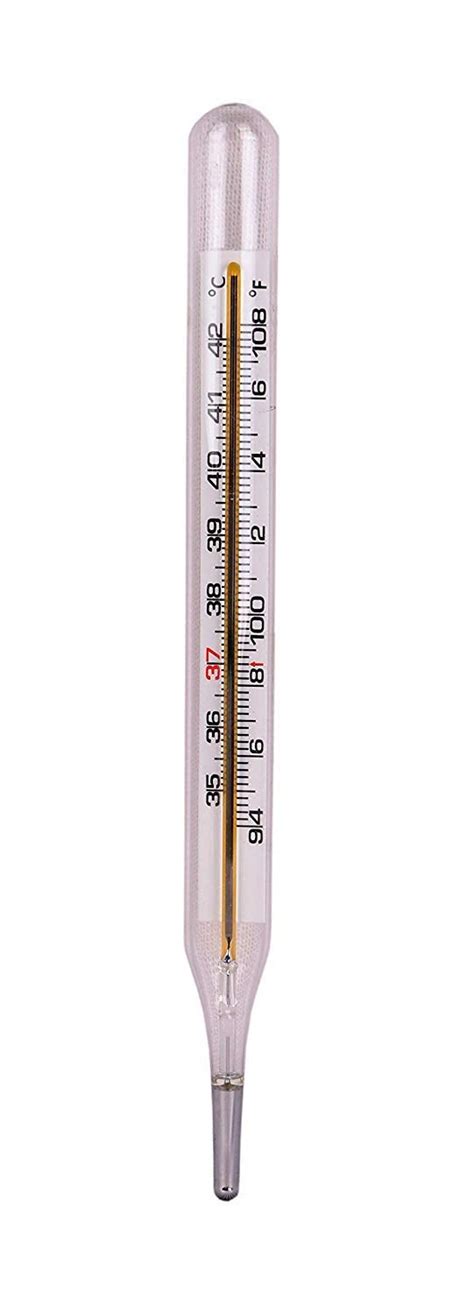 Buy Generic Hicks Clinical Thermometer OVAL Online at desertcartUAE