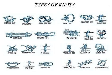 Knowing how to tie multiple types of knots. | Types of knots, Survival ...