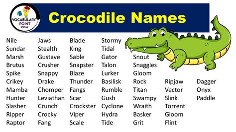 250+ Famous Crocodile Names (Funny, Male & Female) - Vocabulary Point