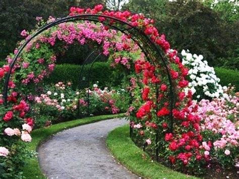 Rose Flower Garden Photos | Best Flower Site