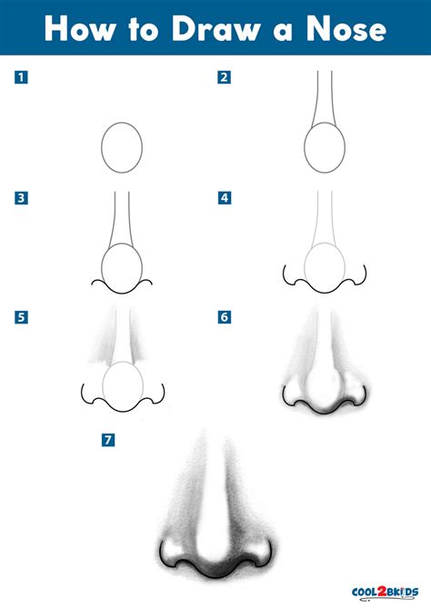 How to Draw a Nose - Cool2bKids