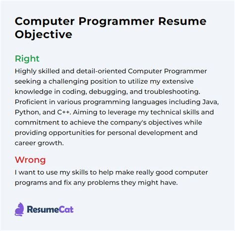 Top 16 Computer Programmer Resume Objective Examples