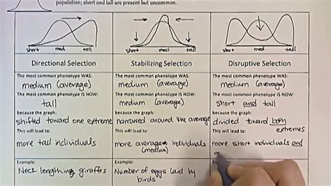 Types Of Natural Selection Pdf