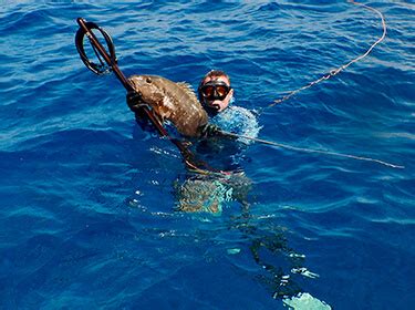 Spearfishing Gear: The Essential Freediving & Spearfishing Equipment