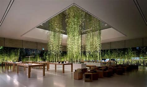 The Benefits of Biophilic Design