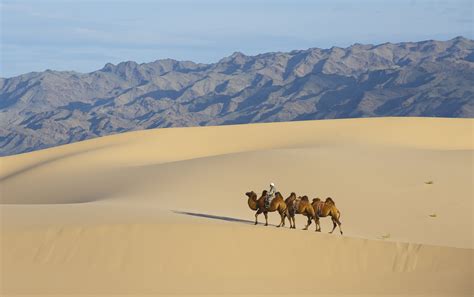 Gobi Desert Mongolia Itinerary from India: How to Reach, Other ...