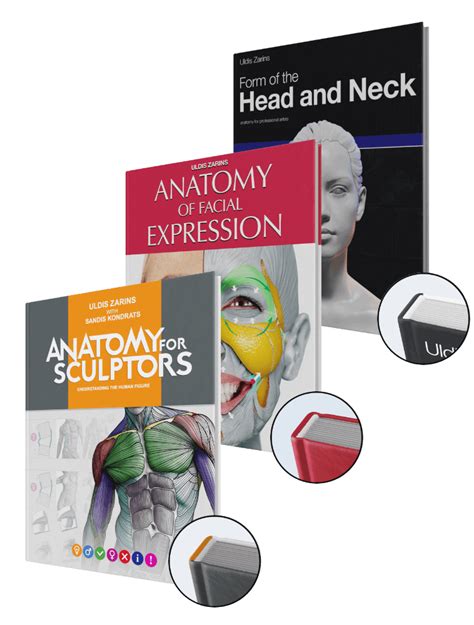 Anatomy For Sculptors book series bundles