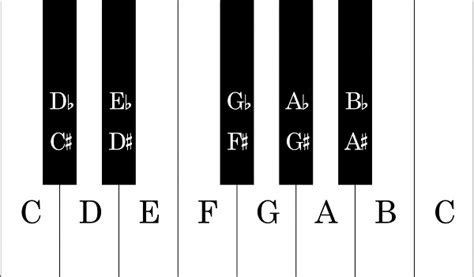 Piano keyboard layout - Piano keys