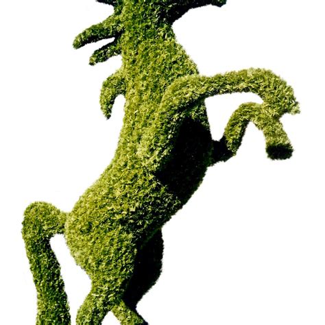 Topiary Animals | Animal Topiary Shapes | Barrango, MFG