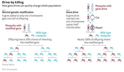 Gene Drive Technology to Control Mosquitoes - 11-09-2023 - Current Affairs