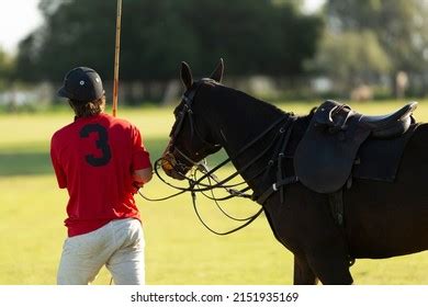 Polo Player His Horse Before Match Stock Photo 2151935169 | Shutterstock