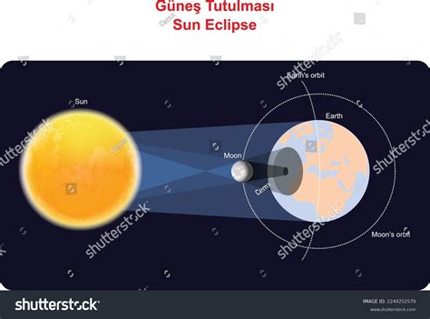 Solar Eclipse Sun Earth Moon Illustration Stock Vector (Royalty Free ...