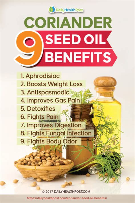 The Many Benefits Of Coriander Seed Oil And How To Use It