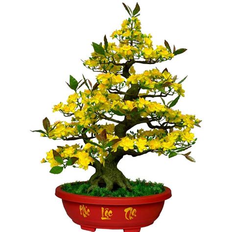 Chậu Hoa Mai Bonsai Giả Cao 1m45 Trang Trí Tết– NOLULU.COM