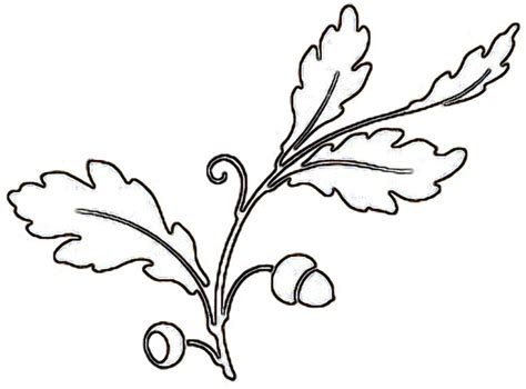 Oak Leaf Stencil - ClipArt Best