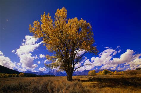 wyoming-state-capitol - Wyoming Pictures - Wyoming - HISTORY.com