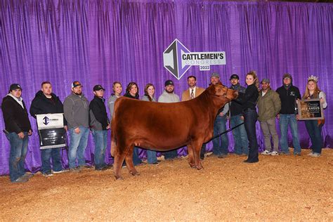 Cattlemen’s Congress Hosts Largest-Ever National Red Angus Open Show ...