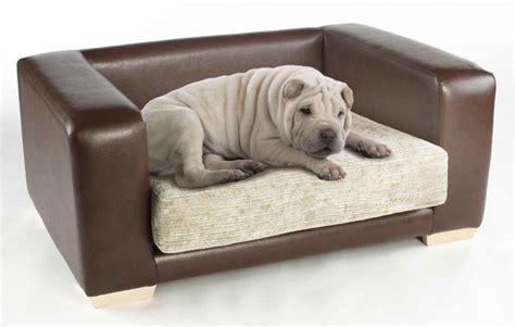 Dog Sofa Beds For Big Dogs - Sofa Design Ideas