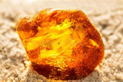 Amber on a Beach of the Baltic Sea Stock Image - Image of orange ...