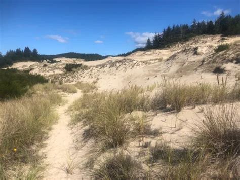 Best 10 Hikes and Trails in Oregon Dunes National Recreation Area ...