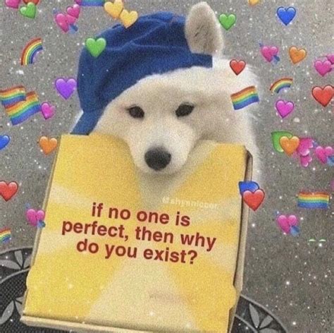 You’re all amazing : r/wholesomememes