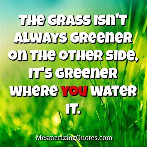 Recklessly: Grass Is Always Greener Synonym