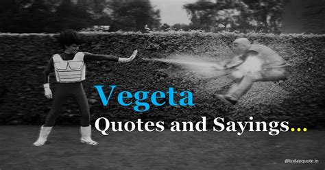 165 Best Vegeta Quotes and Sayings - Todayquote