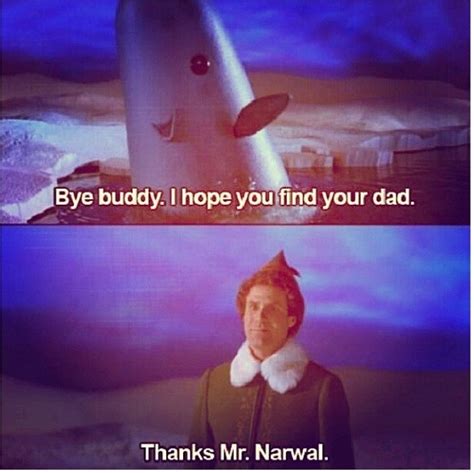 Mr. Narwhal! #byebuddy #elf #movie | Elf movie funny, Elf movie, Great ...