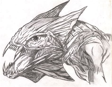 Dragon head sketch by Avantasian on DeviantArt