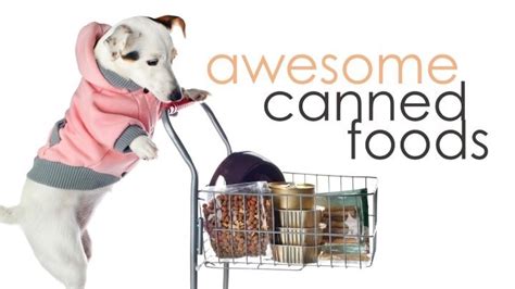 Best Canned Dog Food: 4 High Quality Options (Updated 2019)