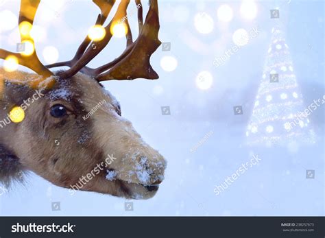 Christmas Santa Claus Deer Stock Photo 238257673 : Shutterstock