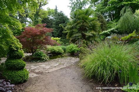 Real World Gardener Texture and Foliage in Green Garden Design