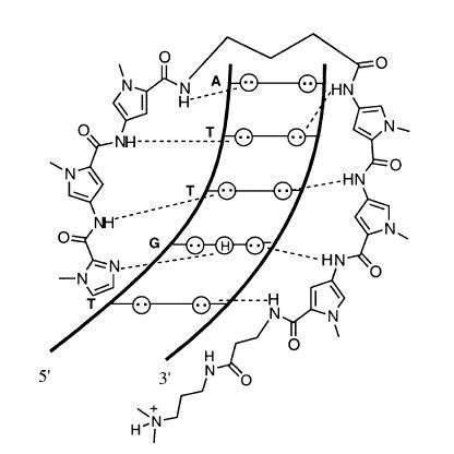 3: Schematic of the exogenous and endogenous lipid metabolism pathways ...