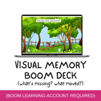 Visual Perception/Visual Attention/Visual Memory Bundle for OT, Speech ...