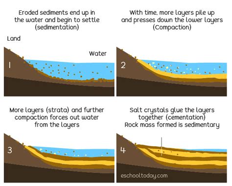 Formation Of Sedimentary Rocks Diagram