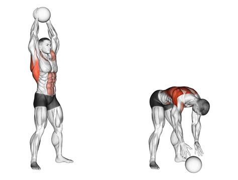 Medicine Ball Slam Alternatives: How to Target the Same Muscles ...