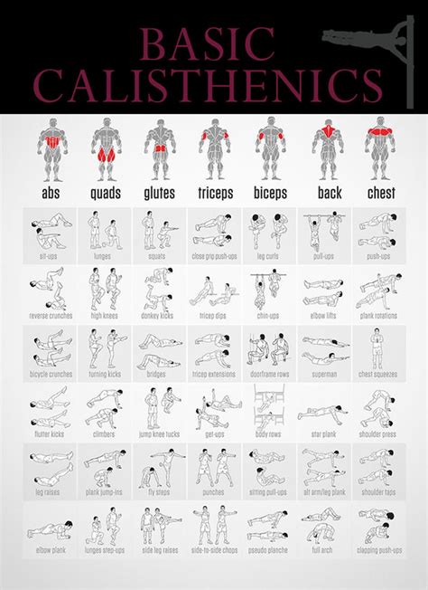 Basic Calisthenics