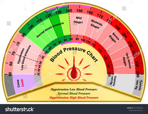 Blood Pressure Chart Stock Vector (Royalty Free) 1014934225 | Shutterstock