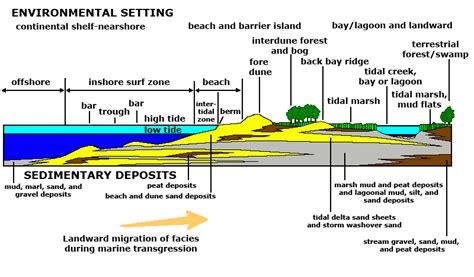 Coastal Features Diagram