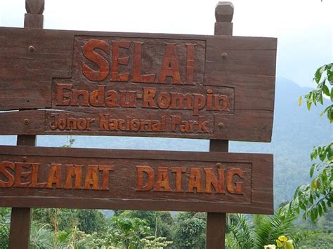 Endau Rompin National Park, Johor, Malaysia