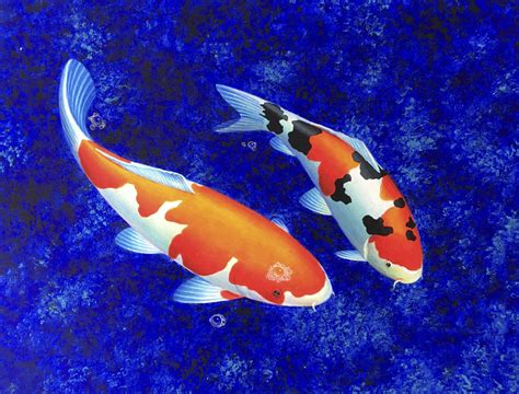 Abstract Koi Fish Painting