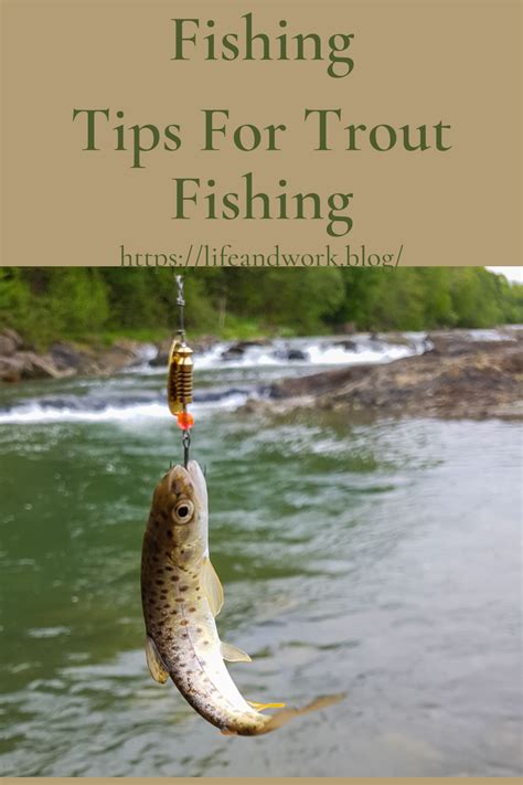 Tips For Trout Fishing