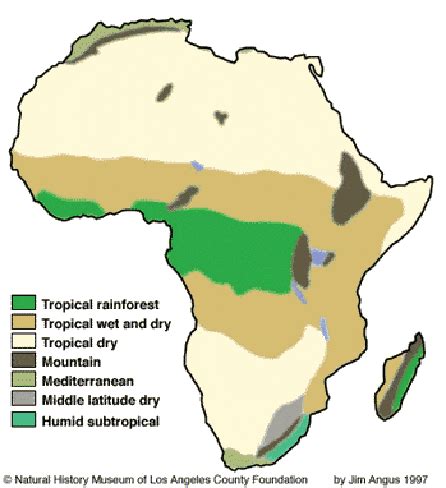 Africa and Climate Change: Impacts, Policies and Stance Ahead of Cancún ...