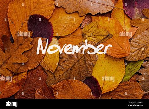 Autumn Leaves Colorful Background. November Concept Wallpaper Stock ...