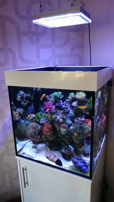 Starting a Nano Reef Tank •Orphek