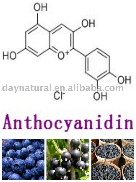 Anthocyanin/Anthocyanidin--UV 5%-25%,China D&N price supplier - 21food