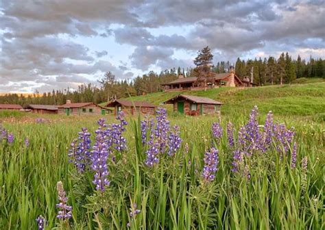 Summer in Yellowstone: Fun on a Montana Dude Ranch - Nine Quarter ...