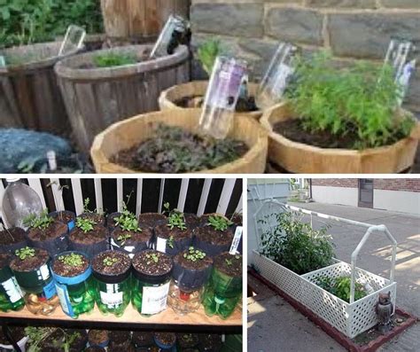 17+ Cheap and Easy DIY Self-Watering Ideas For Your Garden