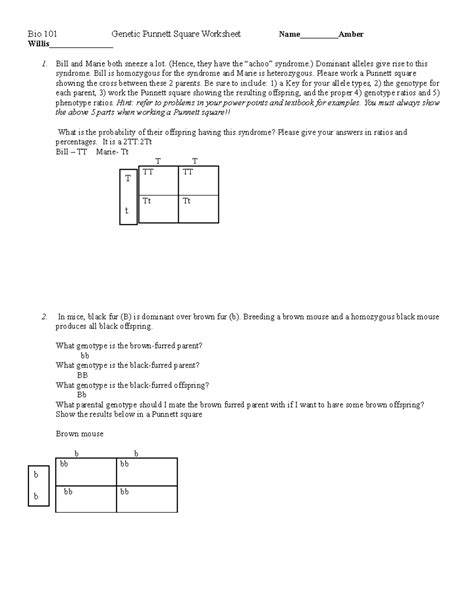 Bio 101 Genetic Punnett Square Worksheet - (Hence, they have the “achoo ...